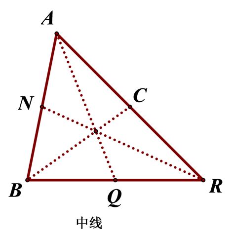 中線意思|中線的解釋